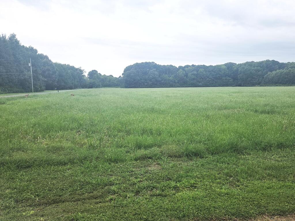 Lot1-a-1 Old Neck Road, Unit 1 Exmore, VA 23350 - Photo 15 of 15 Gallery Image 15