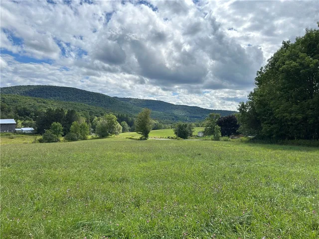 $22,500 | Gladstone Hollow, Andes, NY 13731