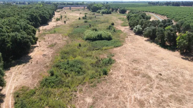 a view of a dry yard with trees
