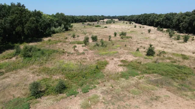 a view of lake with green space