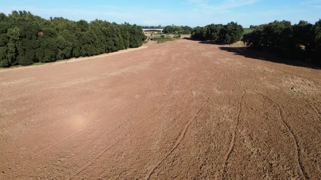 a view of a dry yard with wooden fence