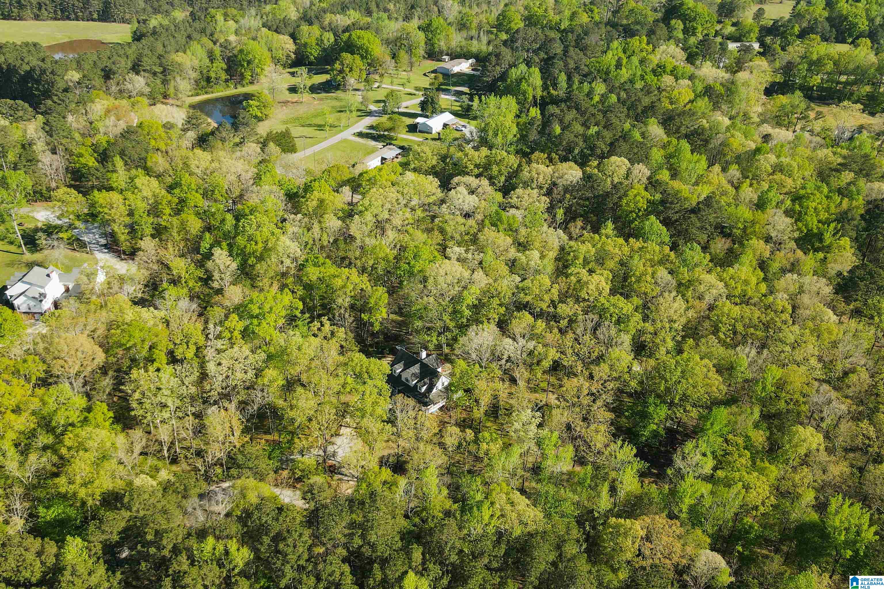 370 Dorough Road Columbiana, AL 35051 - Photo 83 of 89 Gallery Image 83