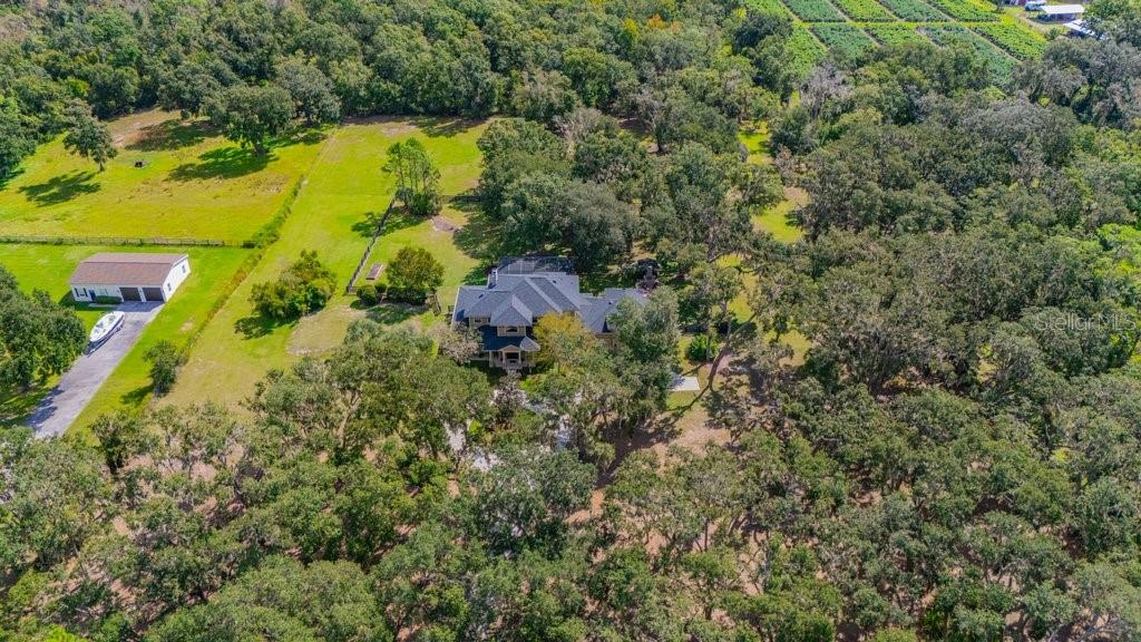 11832 Neal Road Lithia, FL 33547 - Photo 65 of 83 Gallery Image 65