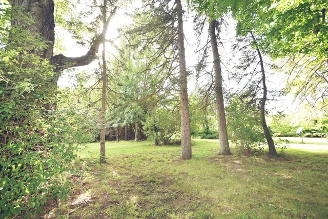 a view of a backyard with a garden