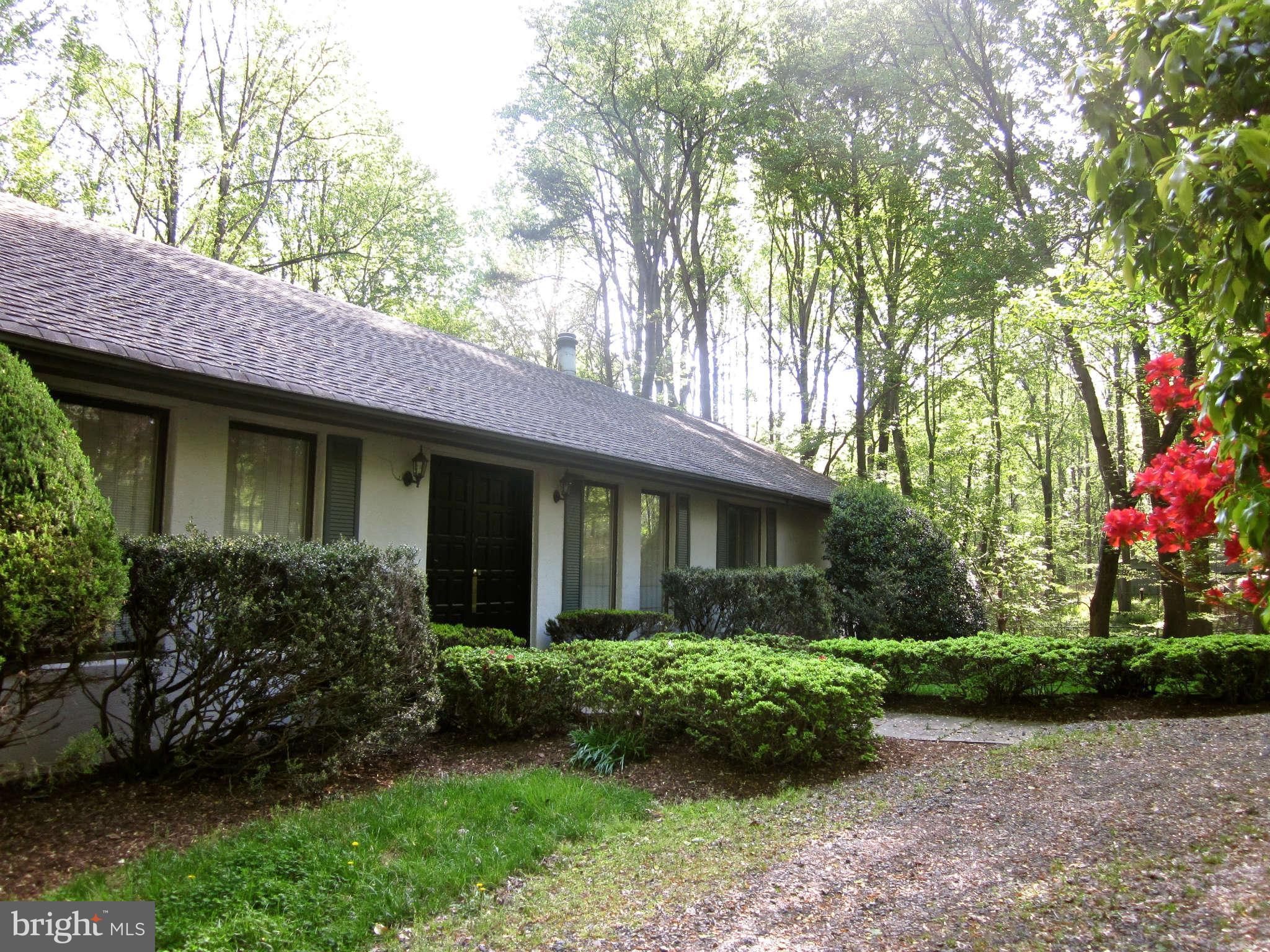 247 Springvale Road Great Falls, VA 22066 - Photo 2 of 28 Exterior (Front)