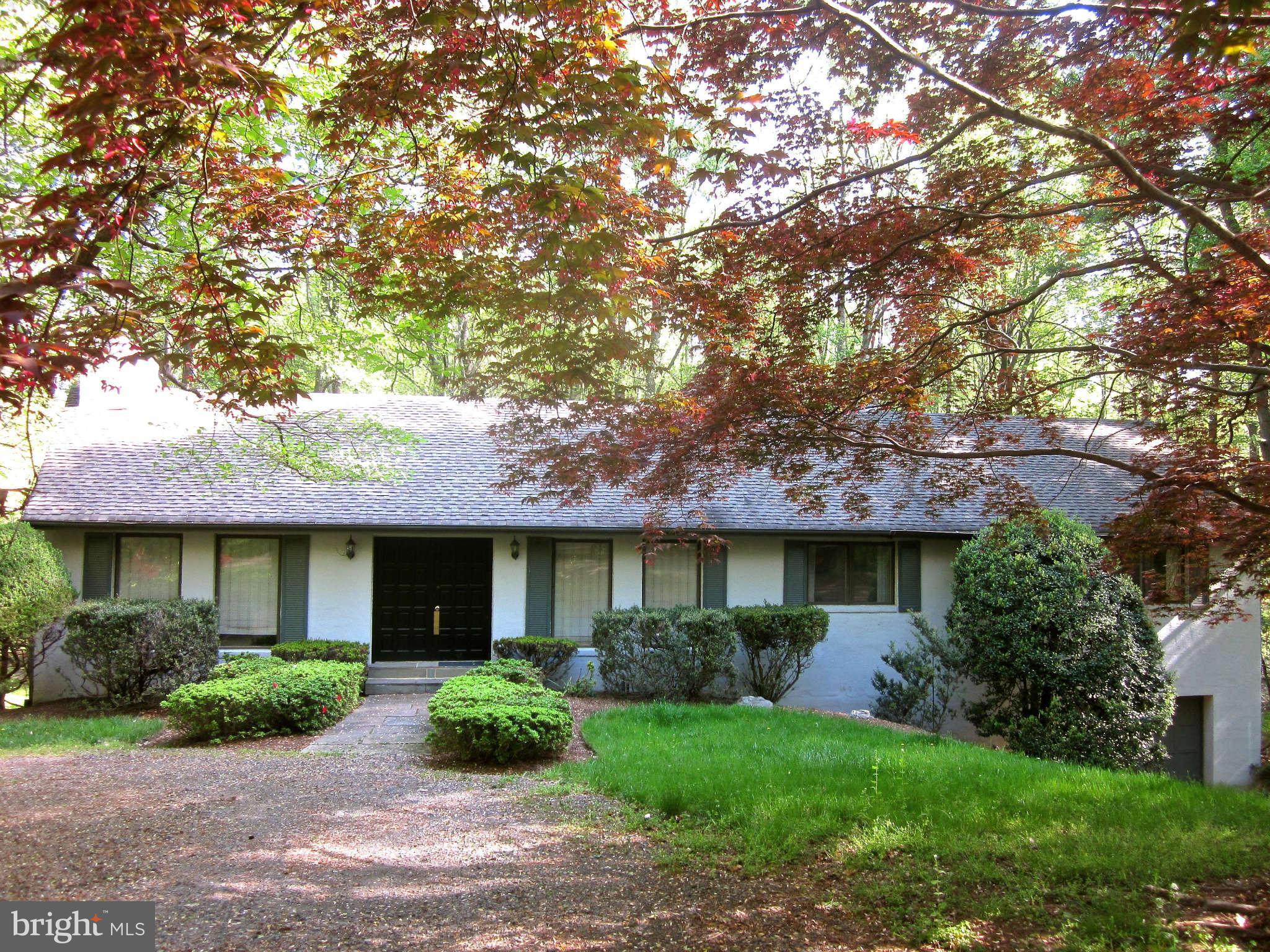 247 Springvale Road Great Falls, VA 22066 - Photo 3 of 28 Exterior (Front)