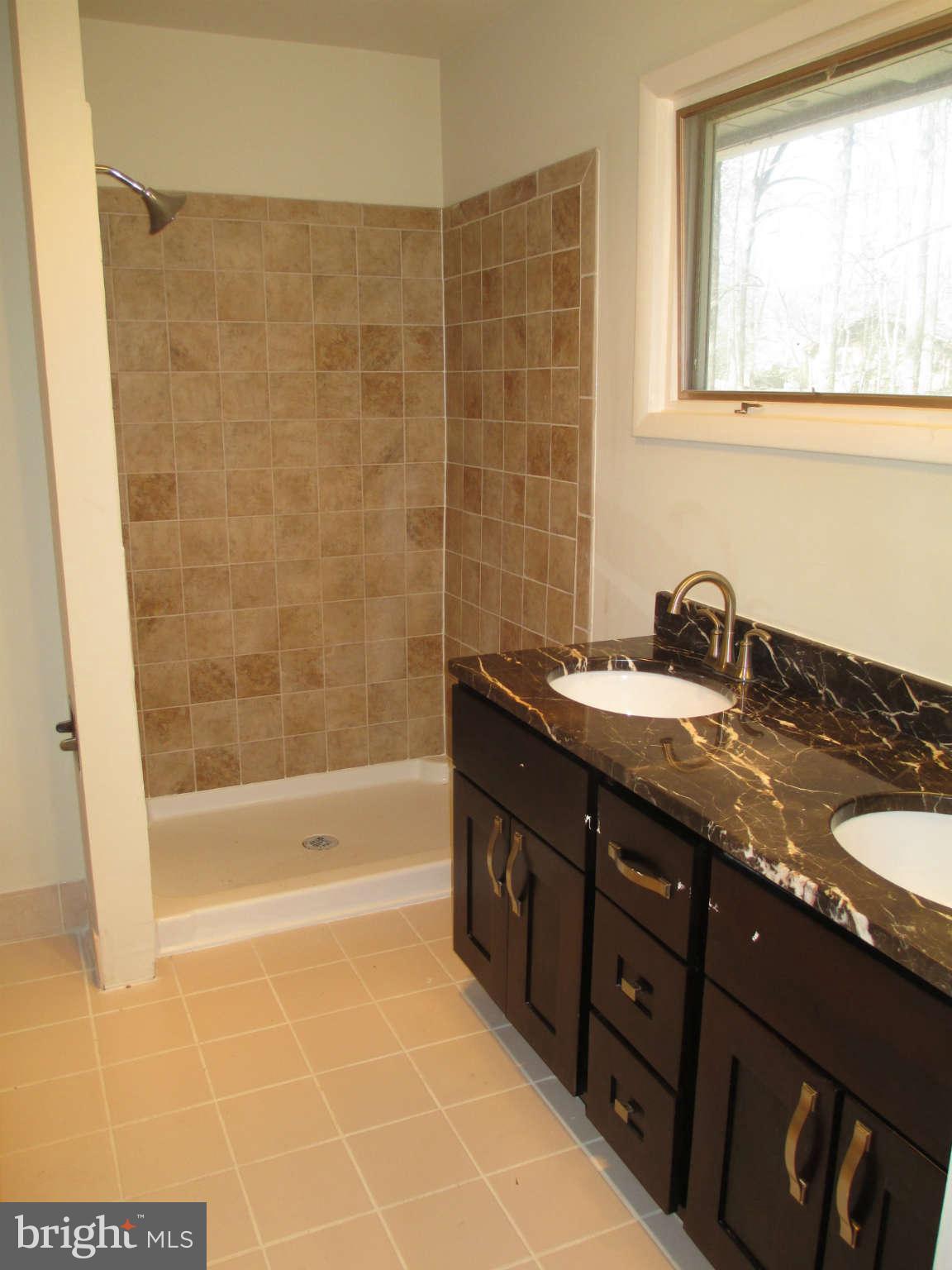 247 Springvale Road Great Falls, VA 22066 - Photo 22 of 28 Bath (Master)