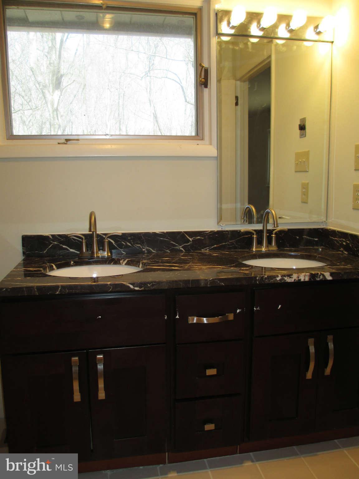 247 Springvale Road Great Falls, VA 22066 - Photo 23 of 28 Bath (Master)