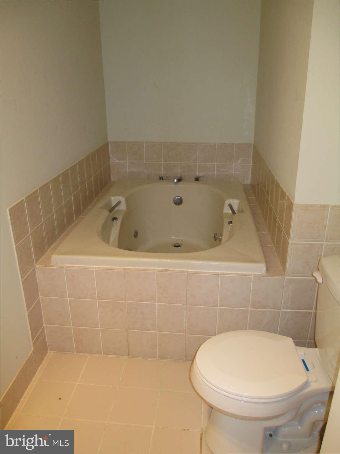 247 Springvale Road Great Falls, VA 22066 - Photo 24 of 28 Bath (Master)