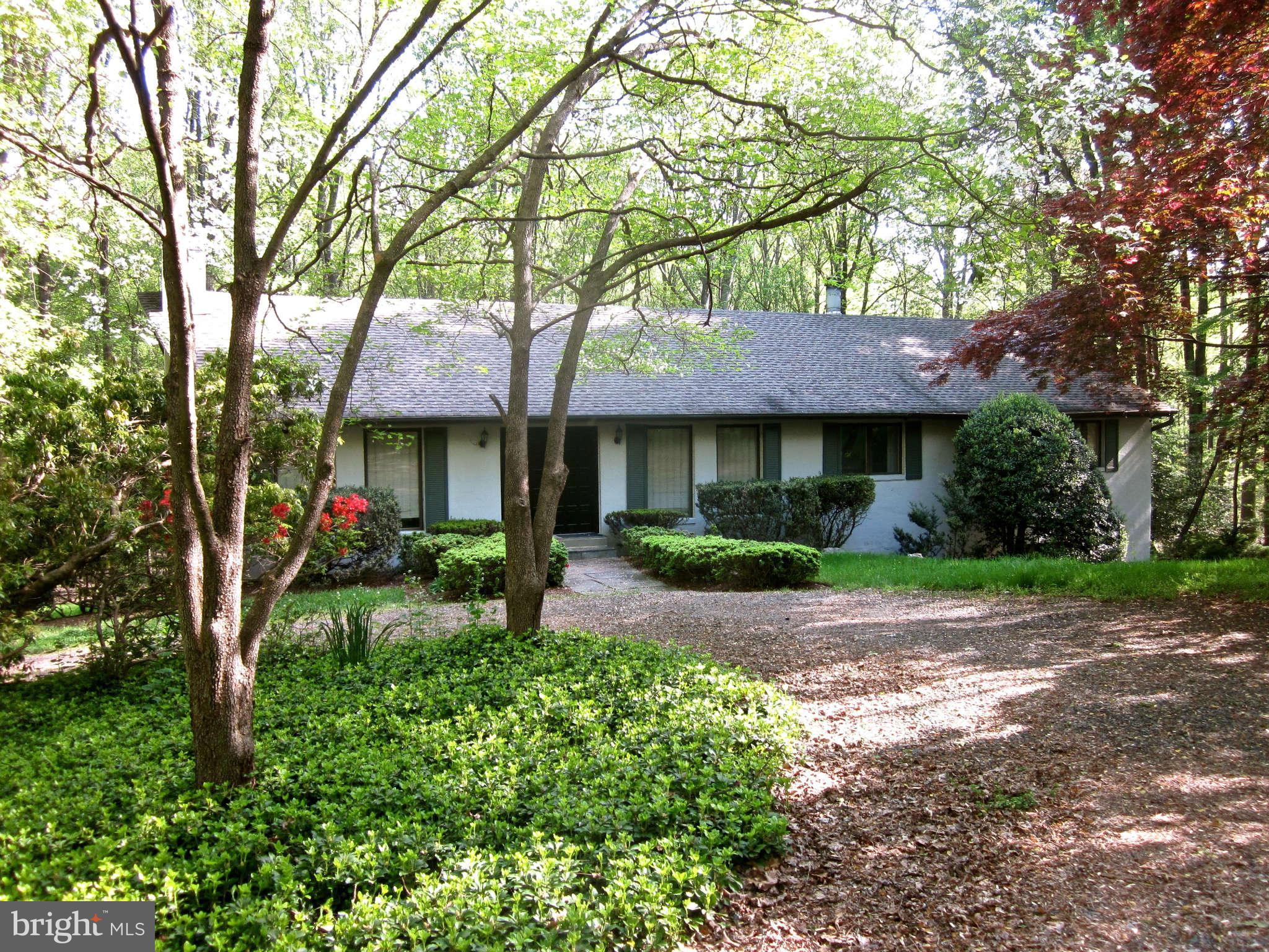 247 Springvale Road Great Falls, VA 22066 - Photo 4 of 28 Exterior (Front)