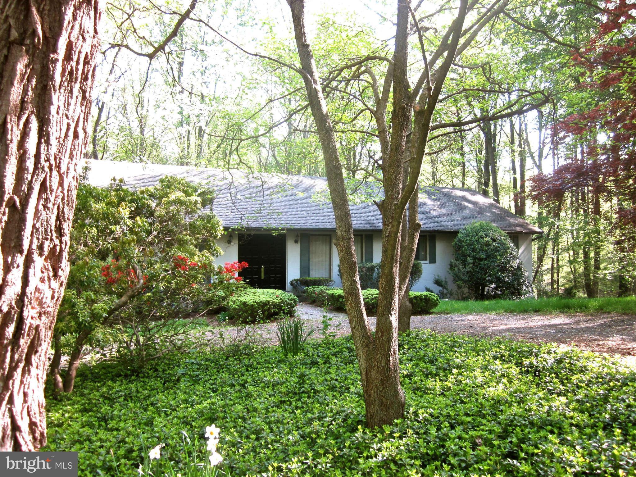 247 Springvale Road Great Falls, VA 22066 - Photo 5 of 28 Exterior (Front)
