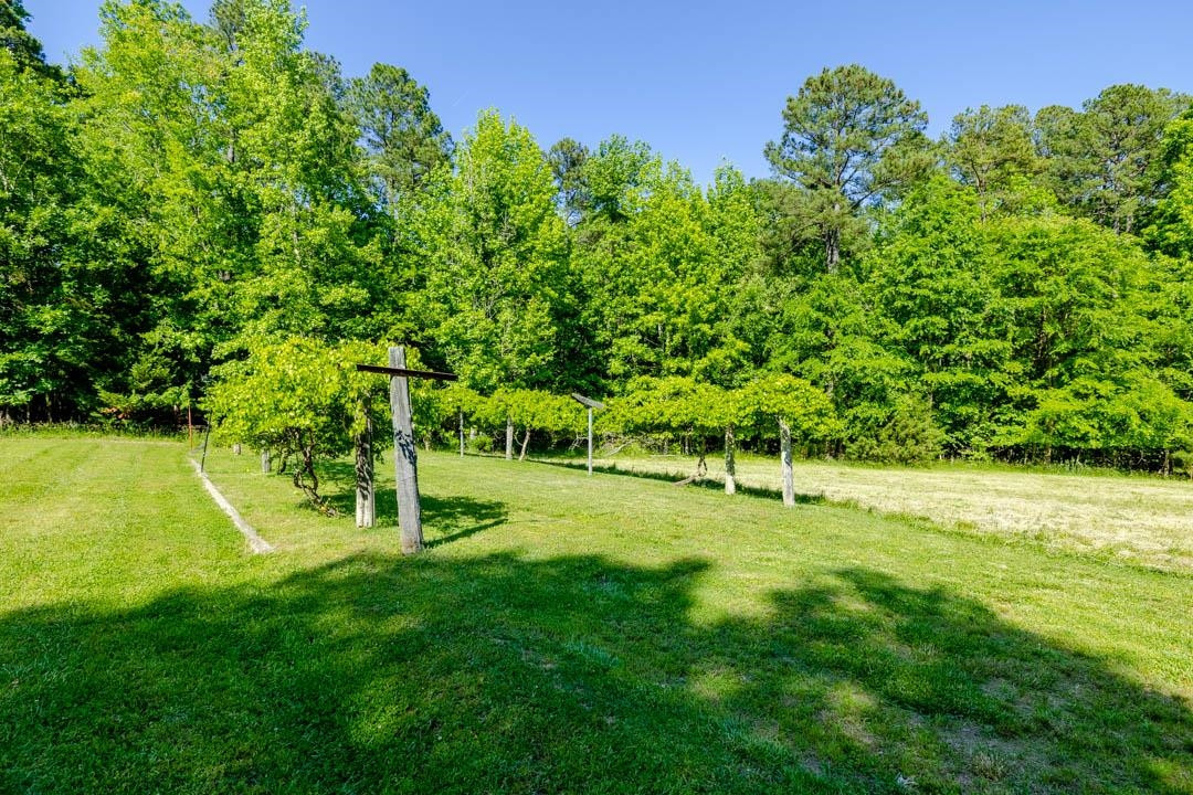 1417 Mason Road Durham, NC 27712 - Photo 46 of 53 Photo 46
