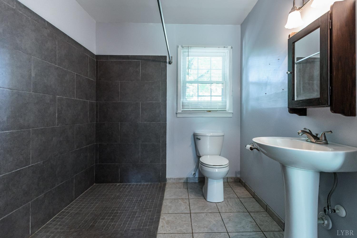 1564 Swan Road Pamplin, VA 23958 - Photo 28 of 60 a bathroom with a sink toilet and a mirror
