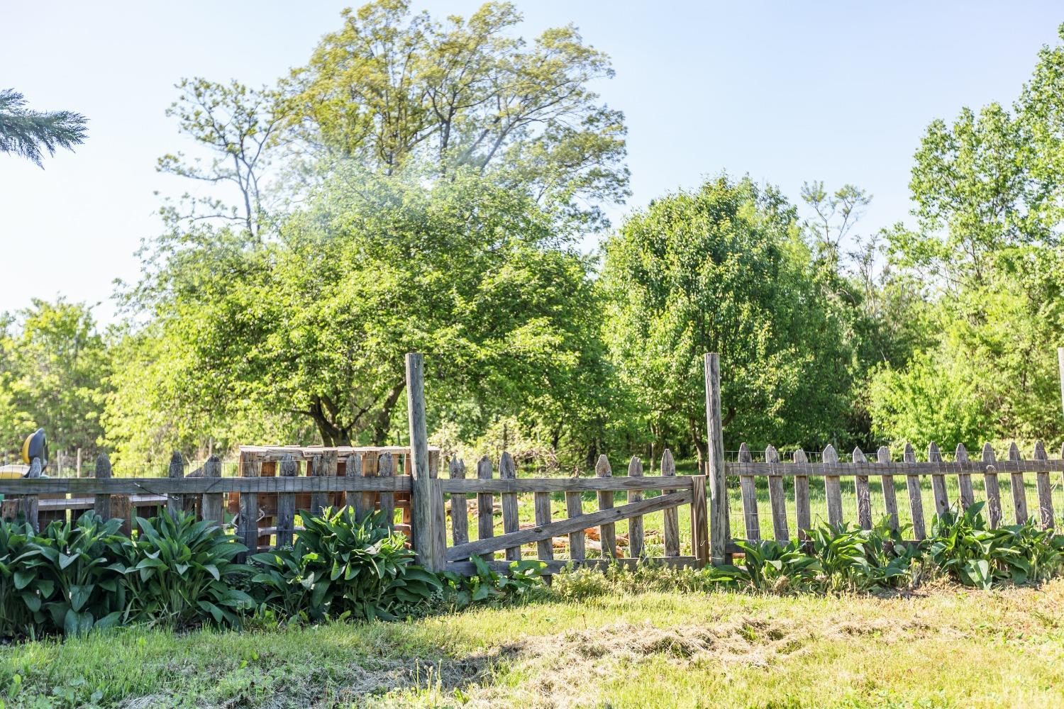 1564 Swan Road Pamplin, VA 23958 - Photo 50 of 60 a view of a house with a small yard