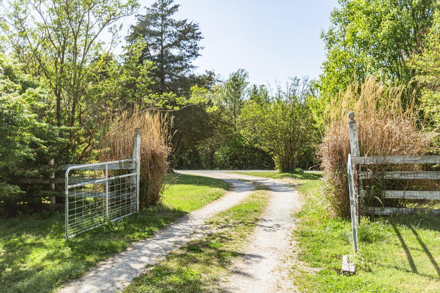 1564 Swan Road Pamplin, VA 23958 - Photo 53 of 60 a view of a backyard with swimming pool
