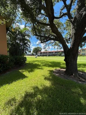 a view of a trees in a yard