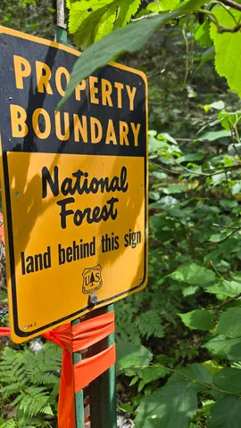 $369,000 | 163 Rollick Creek, Crane Lake, MN 55725