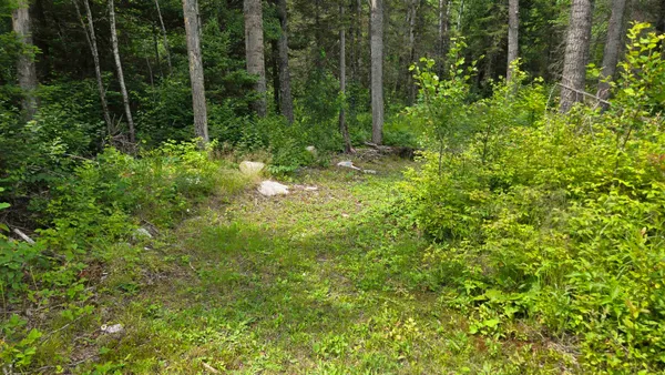 $350,000 | 163 Rollick Creek, Crane Lake, MN 55725