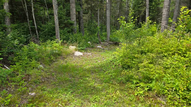 $369,000 | 163 Rollick Creek, Crane Lake, MN 55725