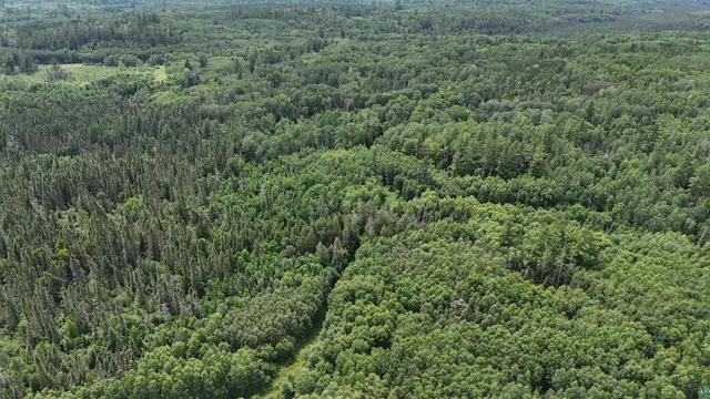 $369,000 | 163 Rollick Creek, Crane Lake, MN 55725