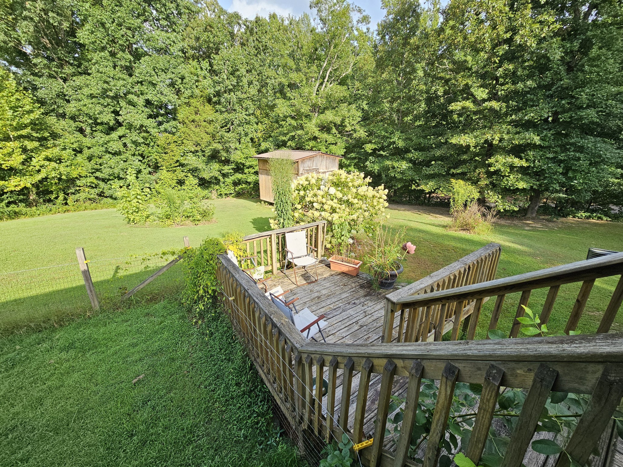 5980 Coxburg Road South Sugar Tree, TN 38380 - Photo 12 of 34 Back deck. Pool was taken down several years ago.