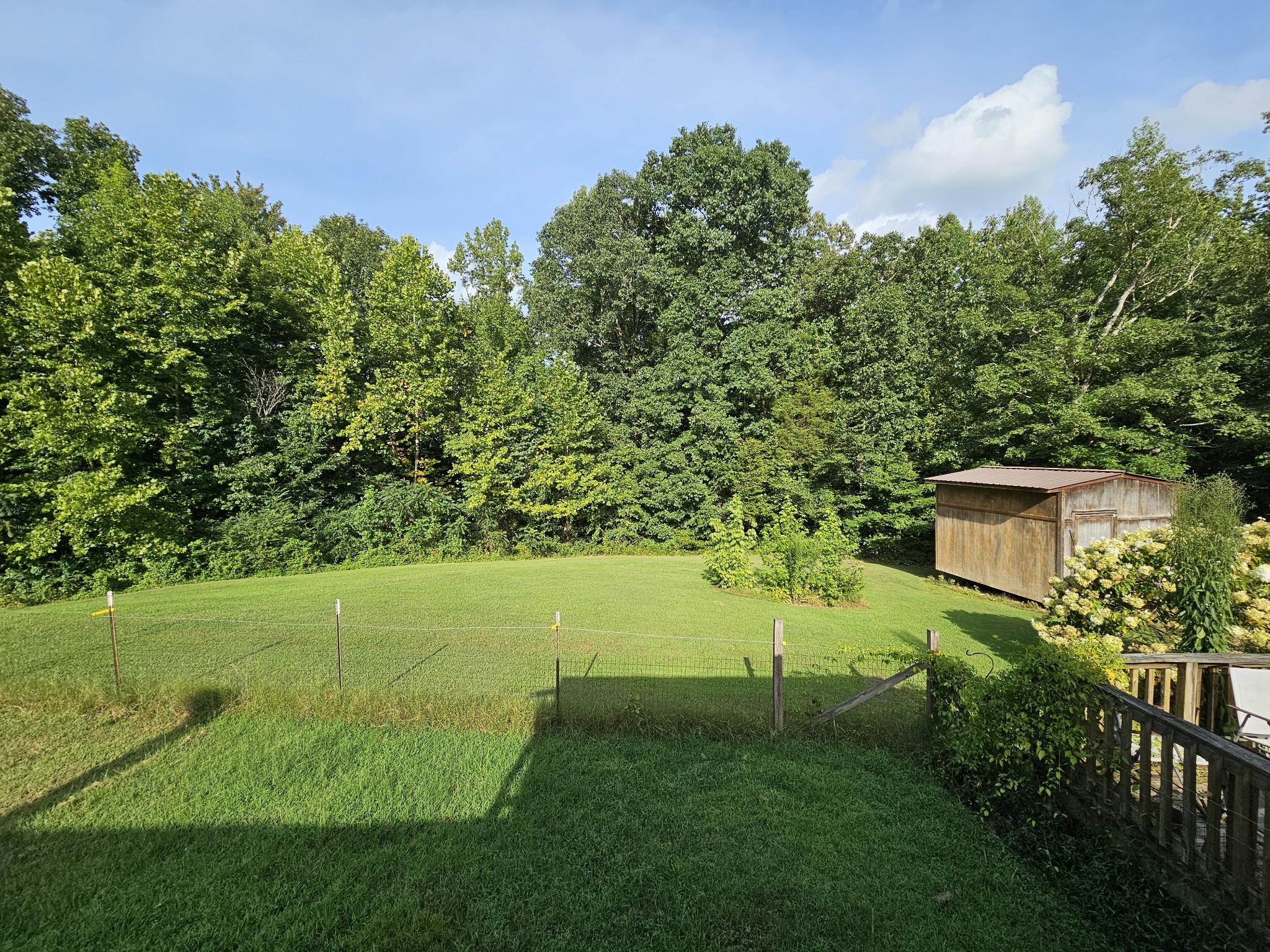 5980 Coxburg Road South Sugar Tree, TN 38380 - Photo 20 of 34 Gallery Image 20