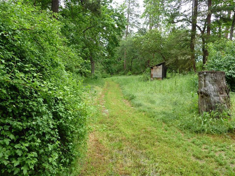 4477 Thompson Creek Road Jacksonville, OR 97530 - Photo 4 of 13 Additional Photo
