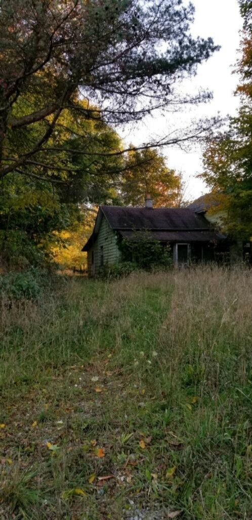 223 West Drake Road Dowling, MI 49050 - Photo 6 of 9 imagejpeg_0(14)