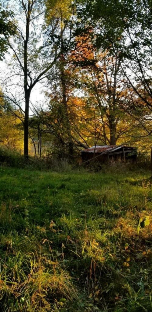 223 West Drake Road Dowling, MI 49050 - Photo 8 of 9 imagejpeg_0(17)
