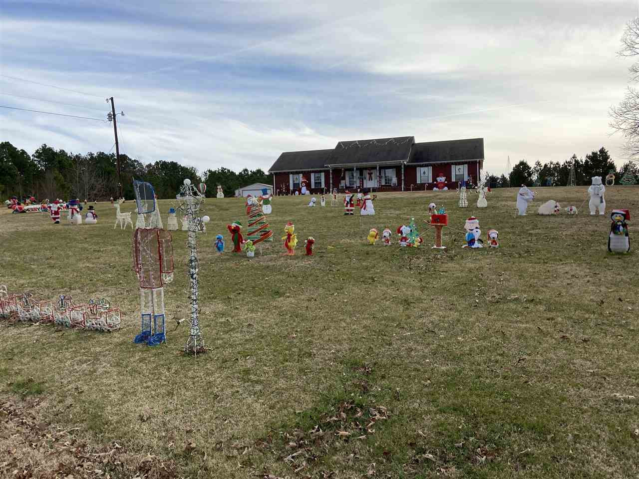 1150 Mayfield Road Finger, TN 38334 - Photo 1 of 1 Photo 1
