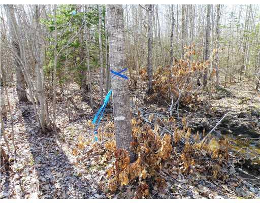 Lot 31 Lot Road Deblois, ME 04622 - Photo 2 of 14 Land/Lot. Front pins along road...