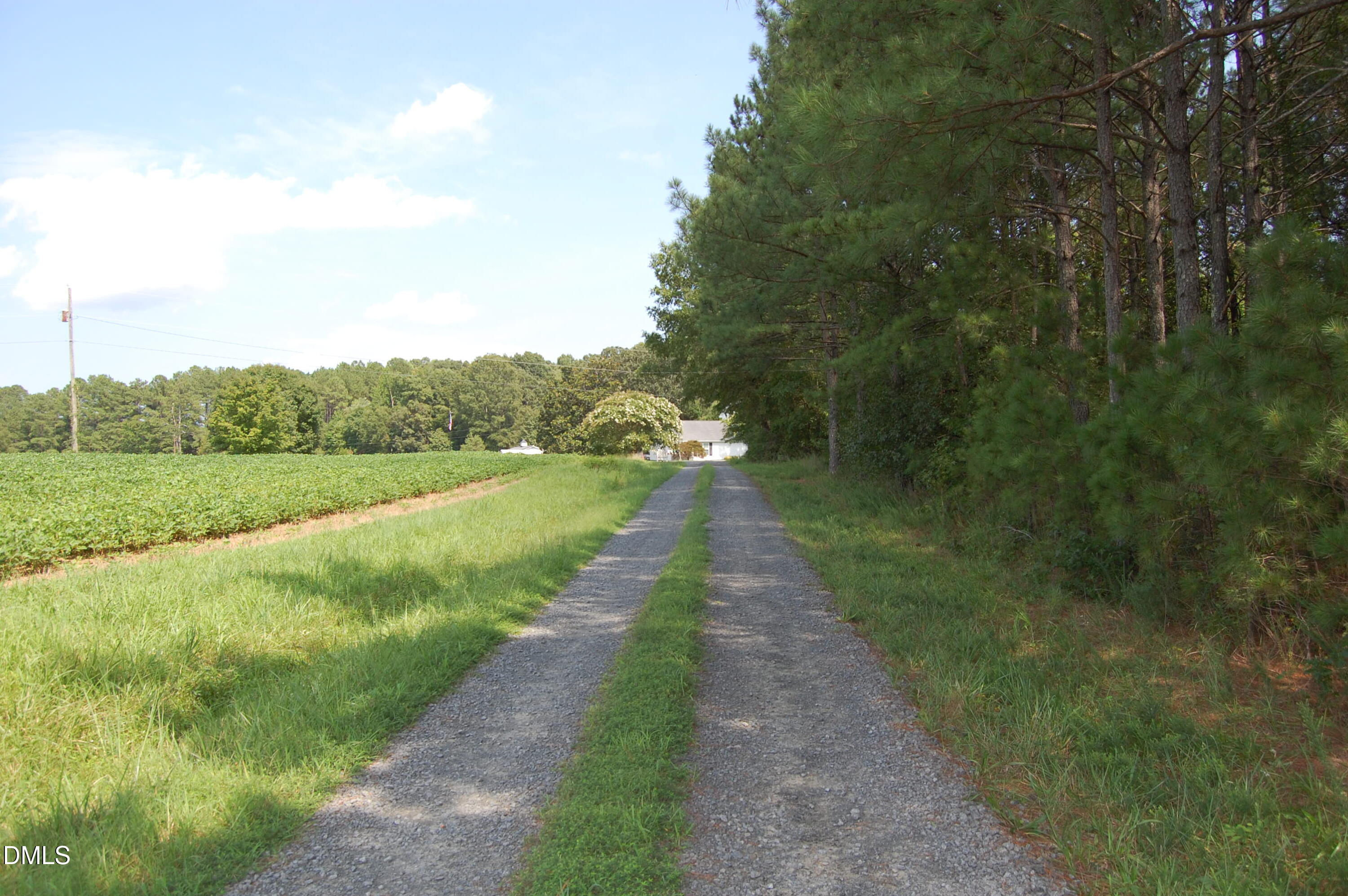4679 Harper Renn Road Oxford, NC 27565 - Photo 7 of 24 DSC_1052
