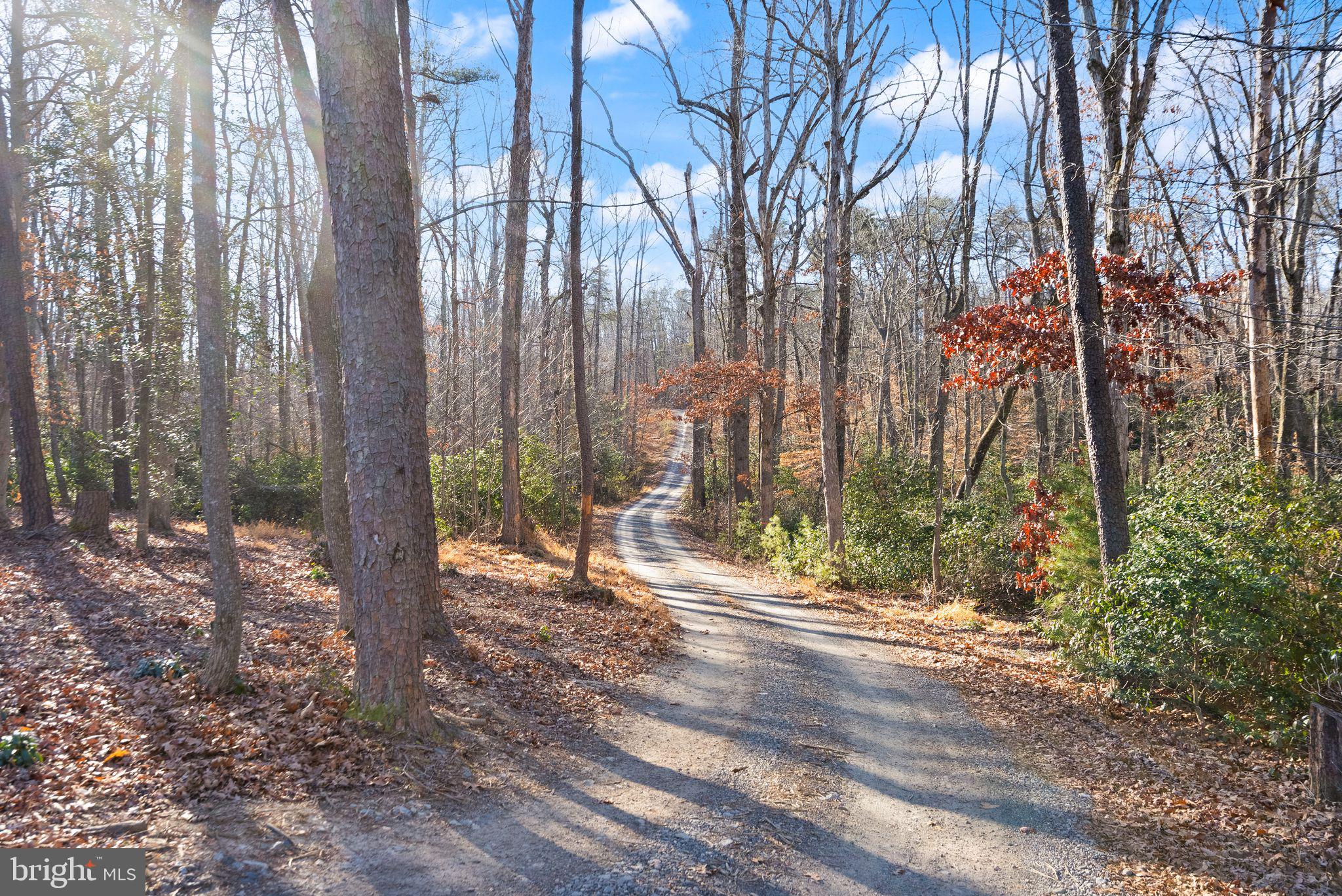 10705 Plank Road Spotsylvania, VA 22553 - Photo 5 of 59