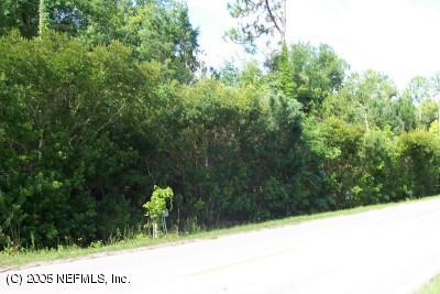 7749 Palmo Fish Camp Road St. Augustine, FL 32092 - Photo 3 of 3 a view of a yard with large trees