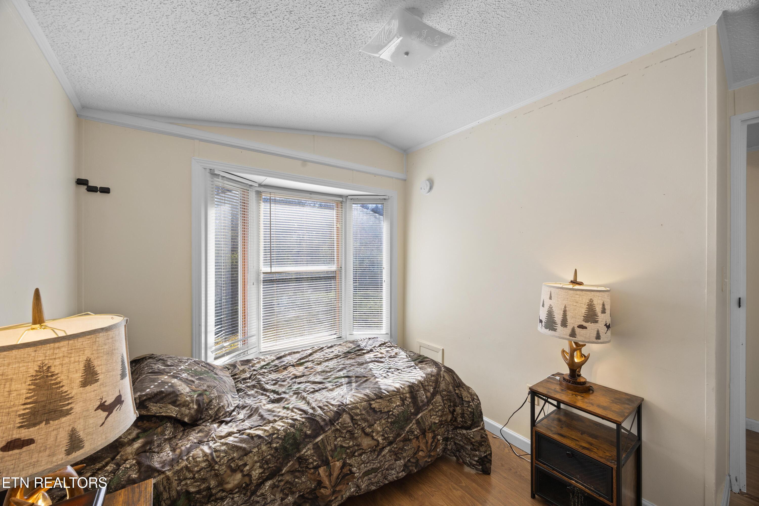 382 2nd Street Corryton, TN 37721 - Photo 22 of 26 1S2A2557