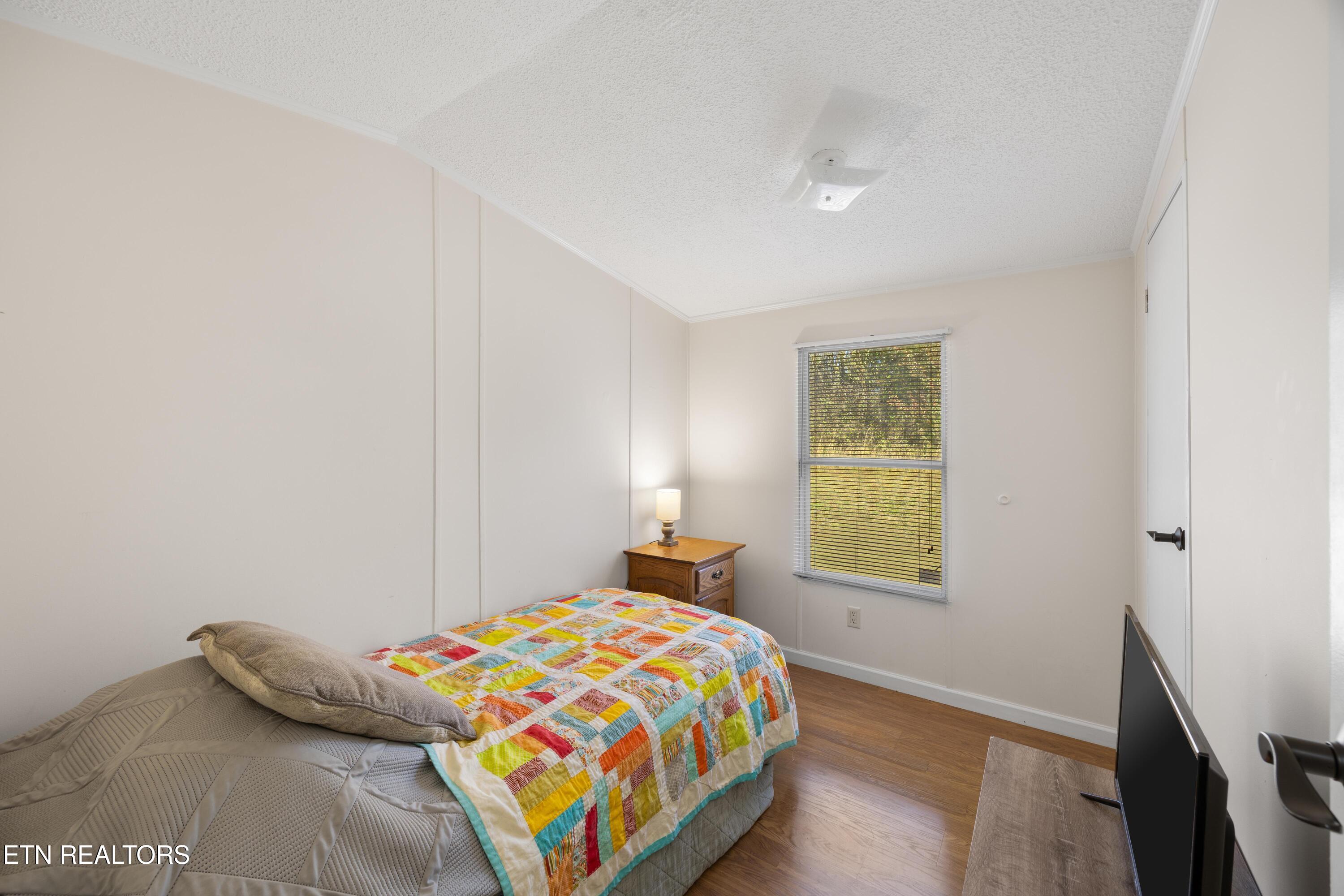 382 2nd Street Corryton, TN 37721 - Photo 24 of 26 1S2A2584