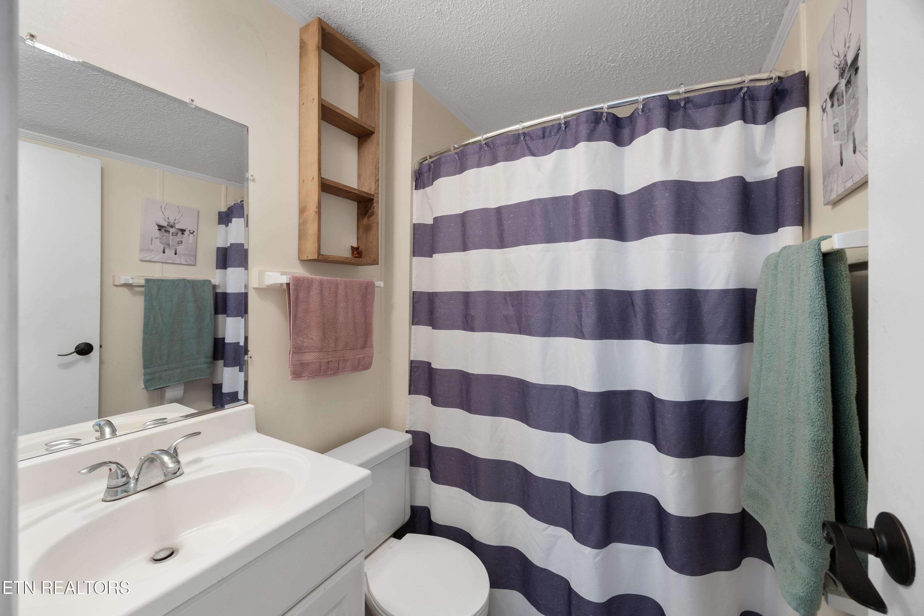 382 2nd Street Corryton, TN 37721 - Photo 25 of 26 1S2A2515