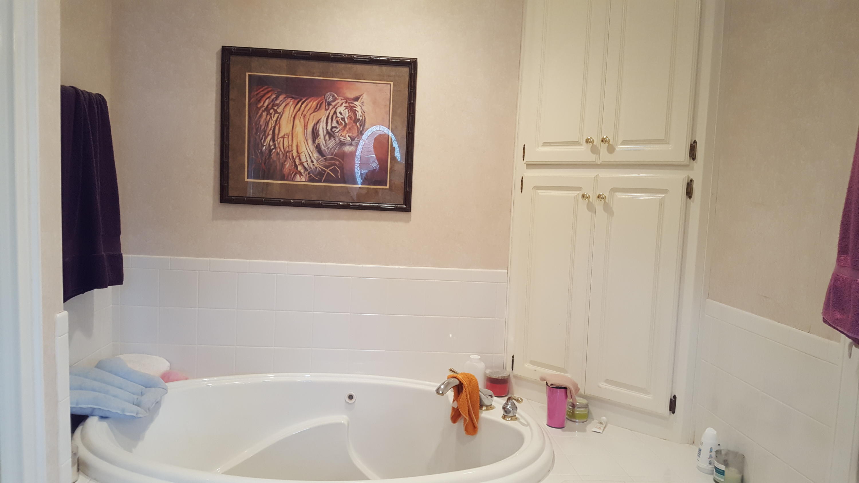 6882 Oak Level Road Bassett, VA 24055 - Photo 14 of 48 Master Bath