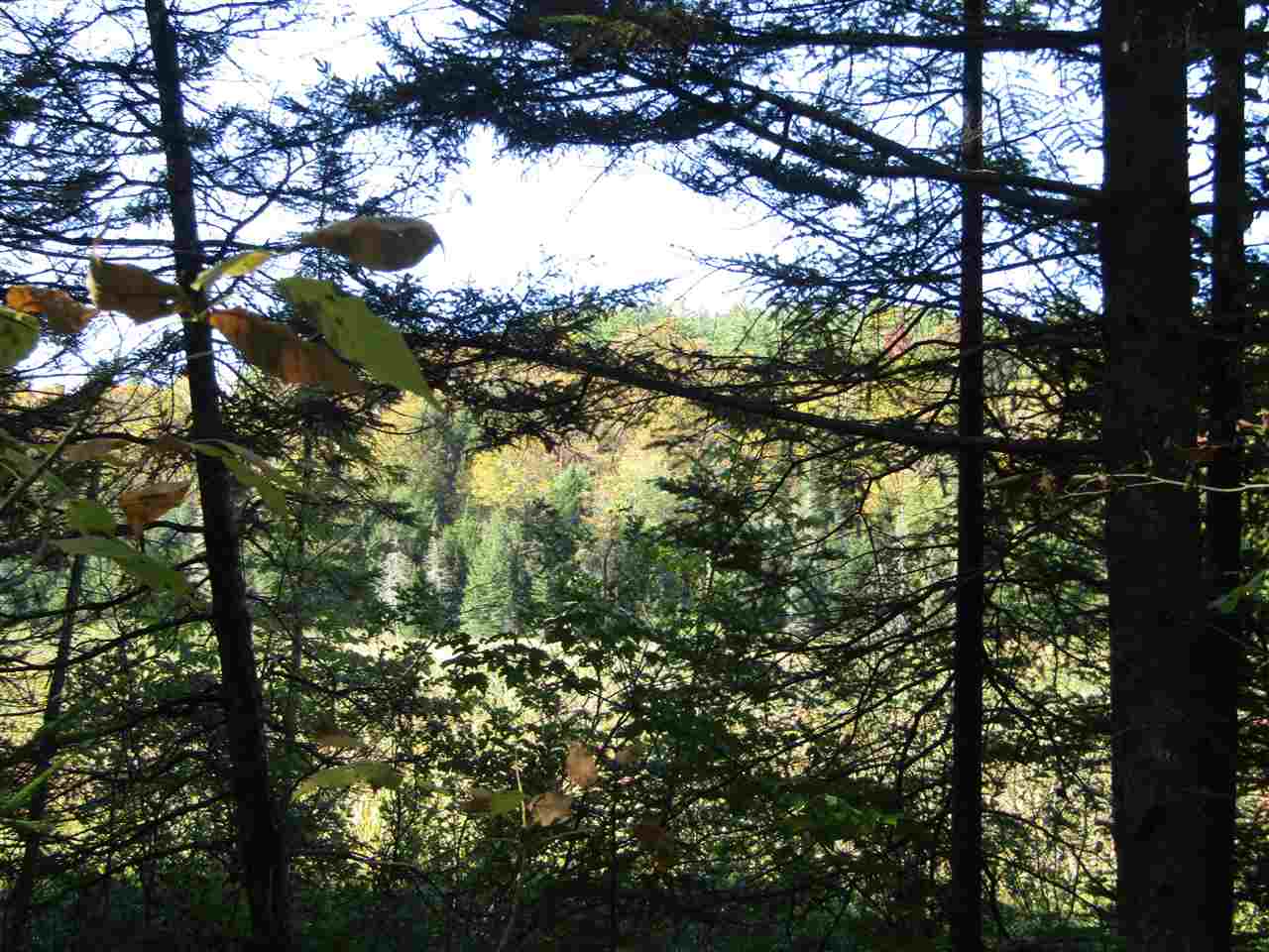 275 Dickey Road Newbury, VT 05040 - Photo 11 of 11