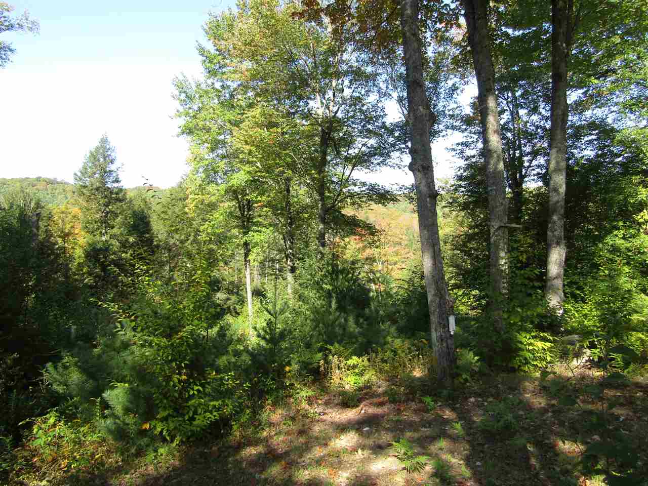 275 Dickey Road Newbury, VT 05040 - Photo 5 of 11