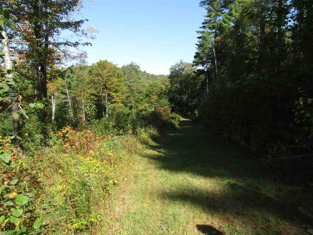 275 Dickey Road Newbury, VT 05040 - Photo 6 of 11