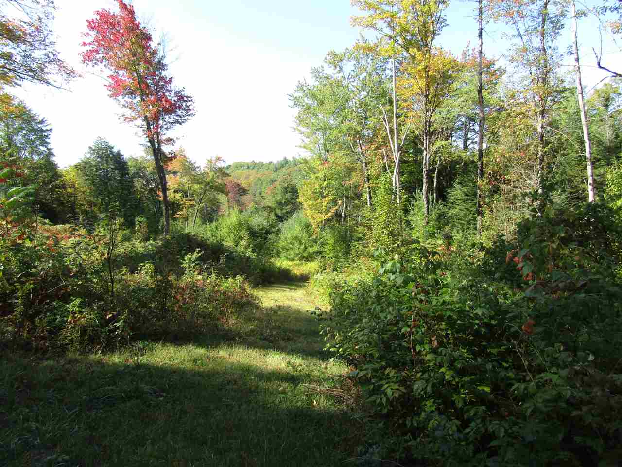 275 Dickey Road Newbury, VT 05040 - Photo 8 of 11