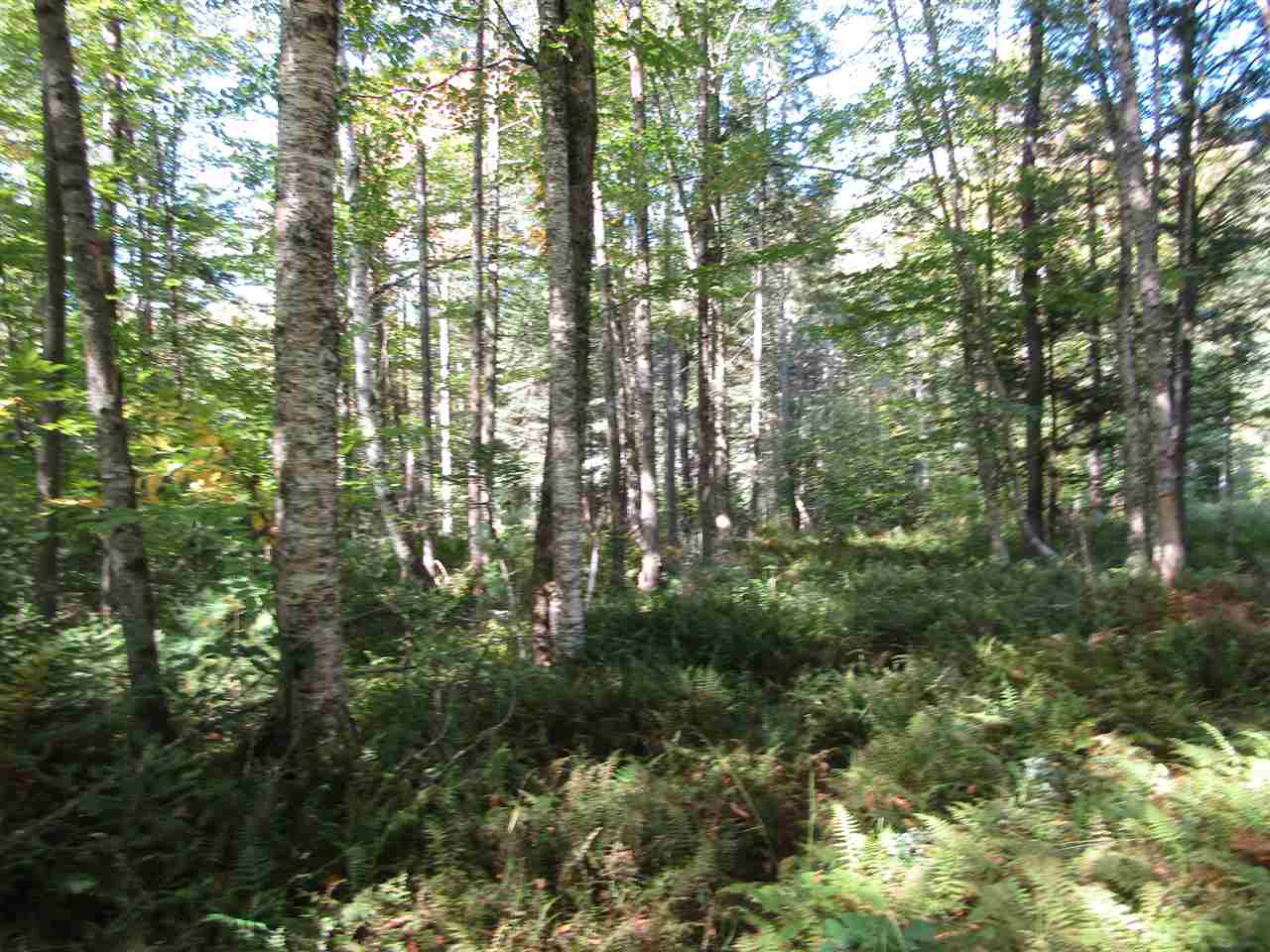 275 Dickey Road Newbury, VT 05040 - Photo 9 of 11