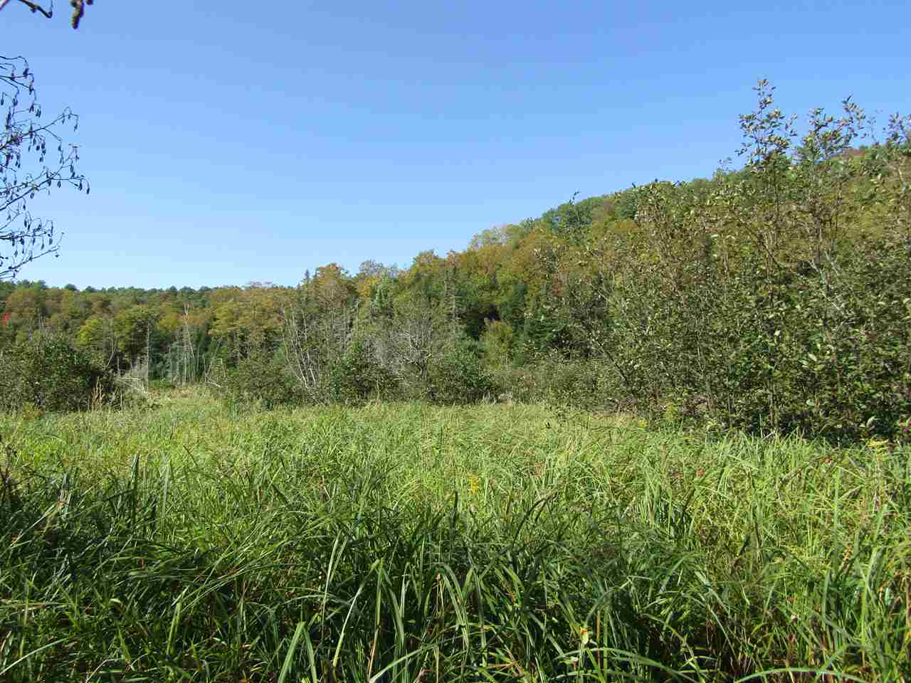 275 Dickey Road Newbury, VT 05040 - Photo 10 of 11