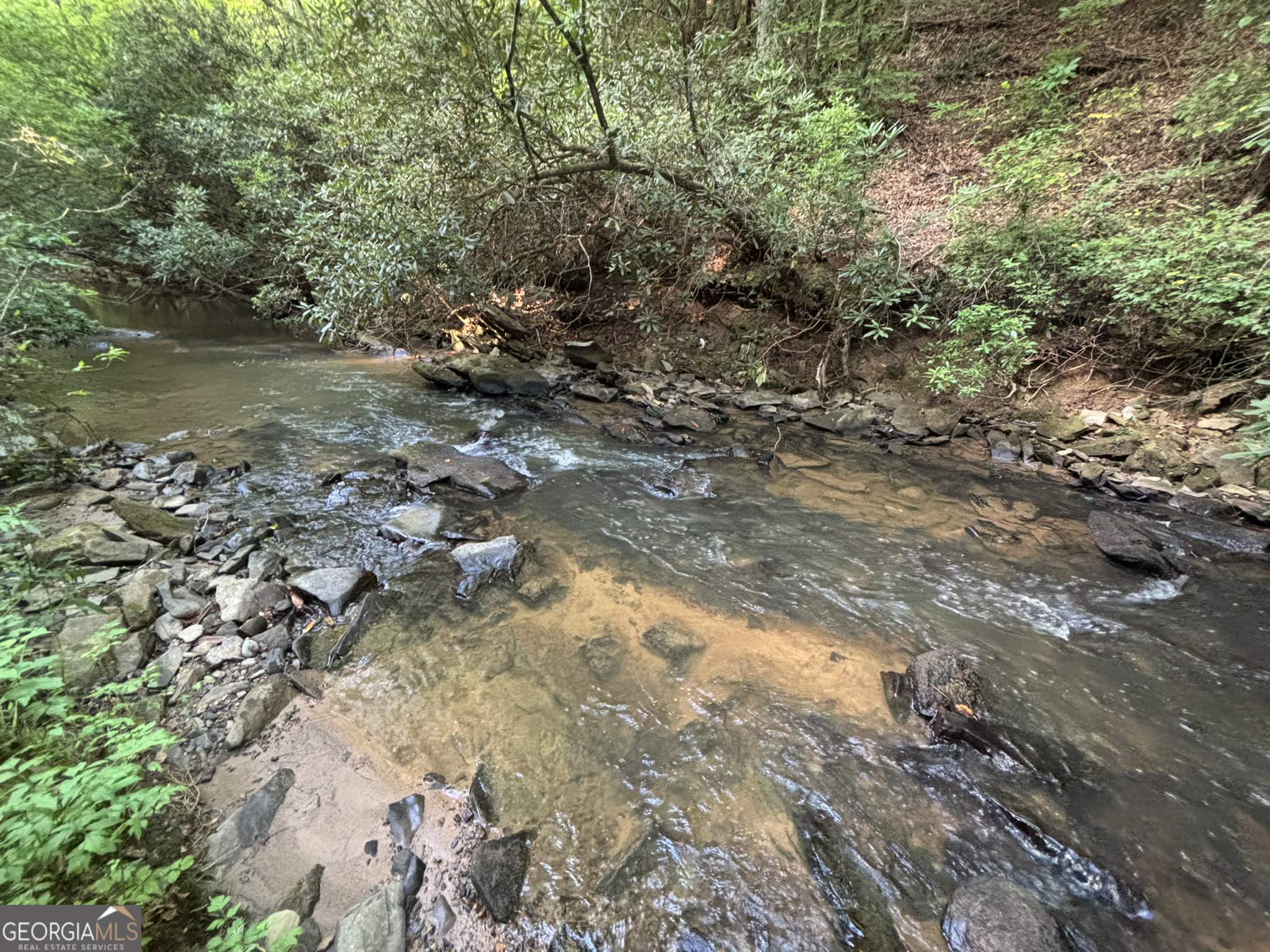 Lot 18 Mt Springer Road Ellijay, GA 30540 - Photo 29 of 31