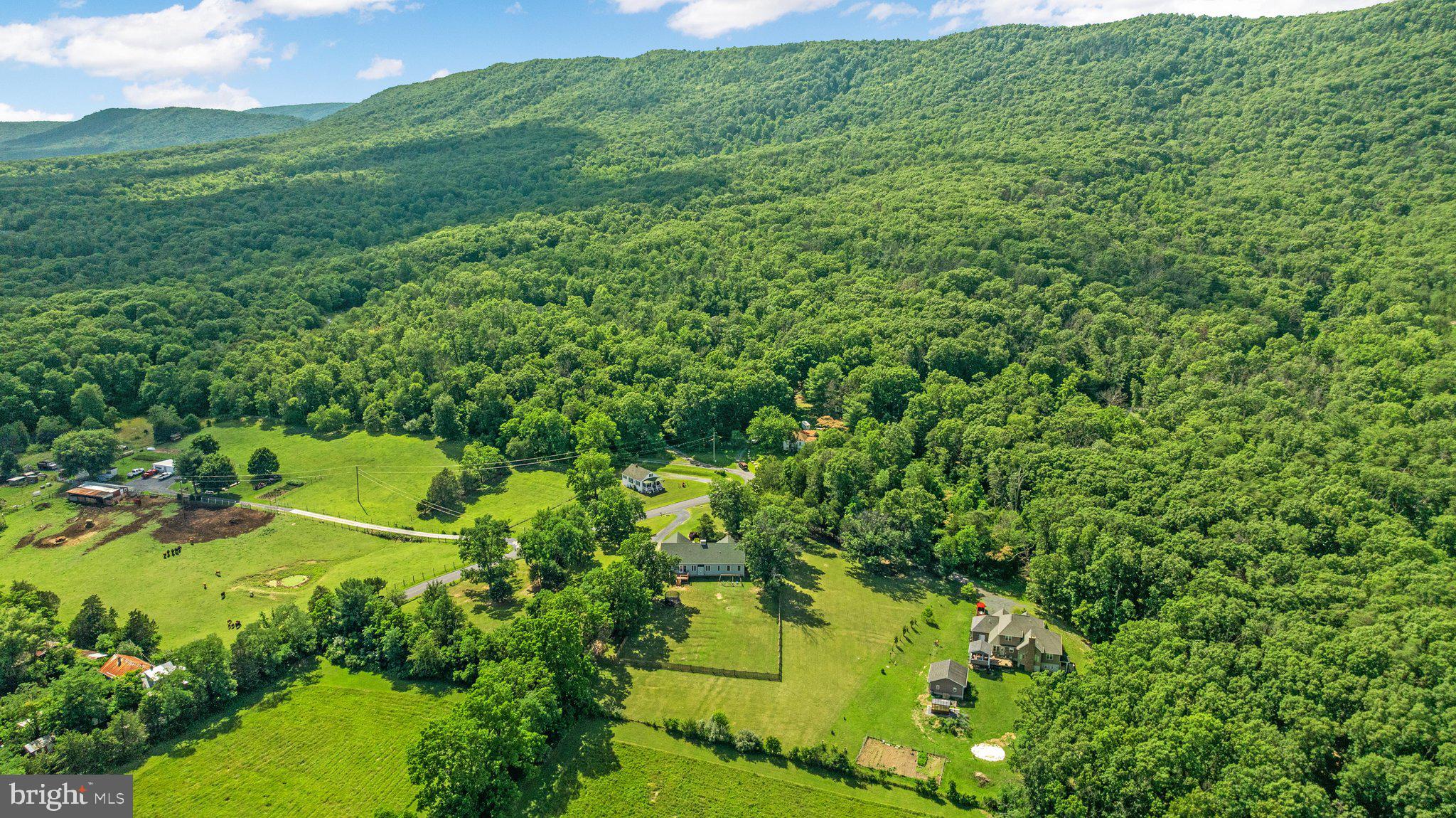 516 Zepp Road Maurertown, VA 22644 - Photo 50 of 63 View