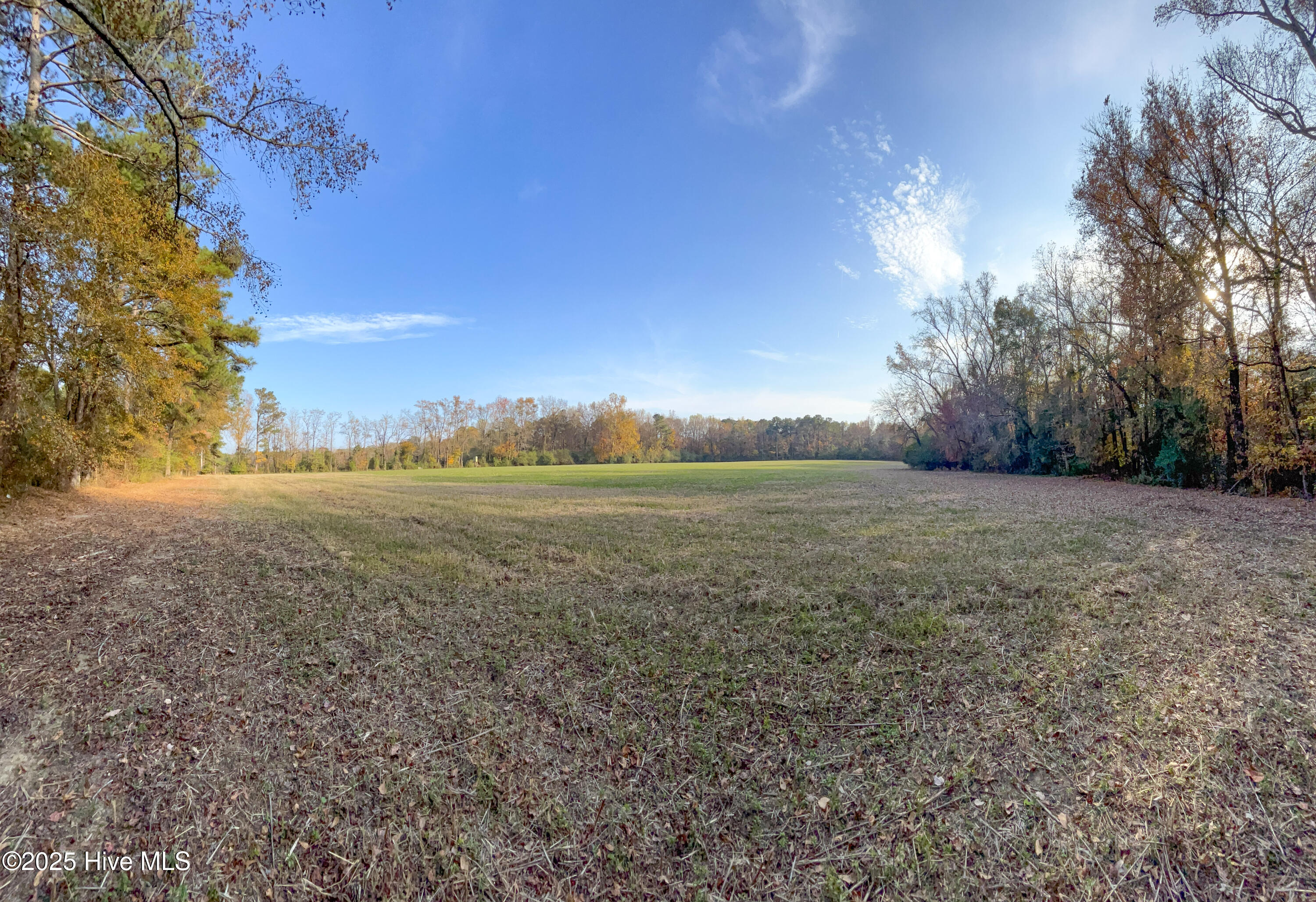 41.5-acres High School Road Teachey, NC 28464 - Photo 4 of 27 16