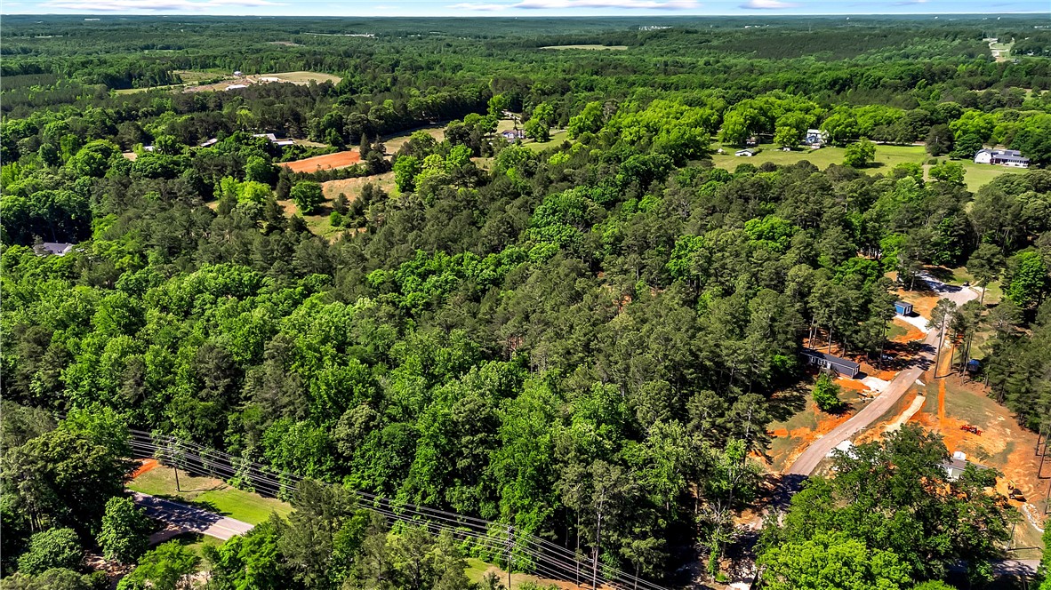13.14-acres White Oak Road Central, SC 29630 - Photo 12 of 15