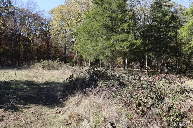 $65,900 | Lot B Dittmer Ridge Road, Dittmer, MO 63023