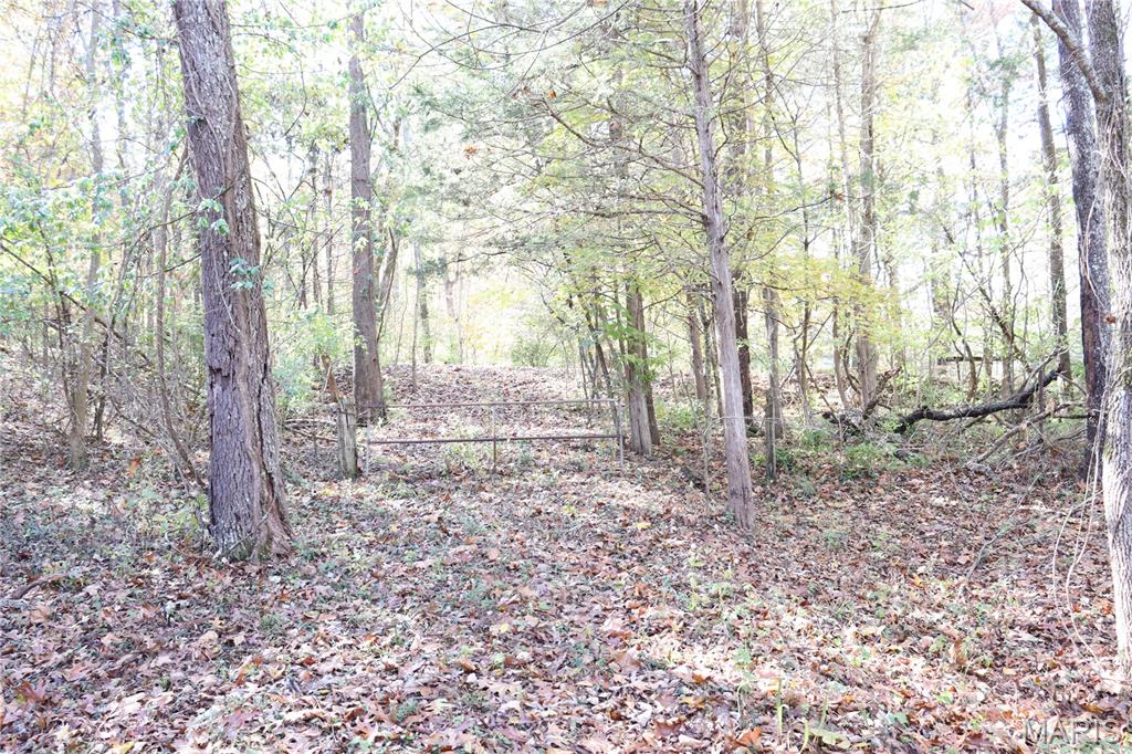 Lot B Dittmer Ridge Road Dittmer, MO 63023 - Photo 16 of 20